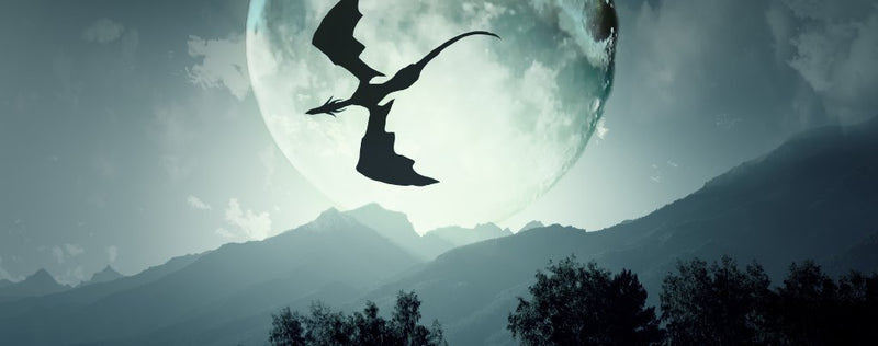 Dragons
