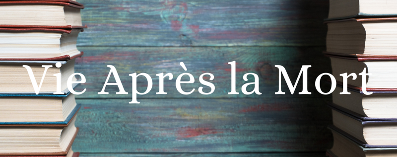Vie Après la Mort