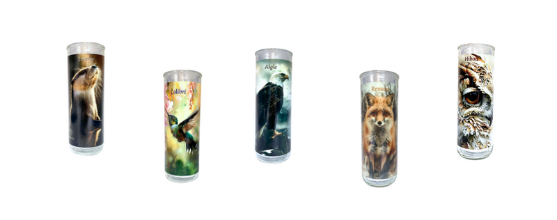 Les Porte-Lampions de la Médecine Animale Shaman