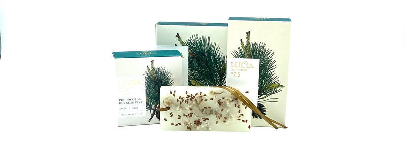 Lucia Les Saisons No 25 - Pin Douglas