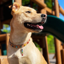 Charger l'image dans la galerie, COLLIER CHAT/CHIEN CUIR VEG CHAT/CHIEN-7 CHAKRAS-PETIT 9.5″L