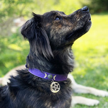 Charger l'image dans la galerie, COLLIER CHAT/CHIEN CUIR VEG LUNE & PENTACLE-PETIT 9.5″L(CR)