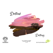 Charger l'image dans la galerie, Cubes de Cire Fondants Destiné (Destiny)