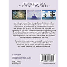 Charger l'image dans la galerie, L'ORACLE DES MONDES INVISIBLES