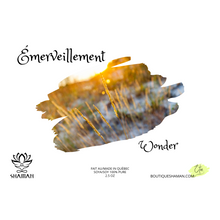 Charger l'image dans la galerie, Cubes de Cire Fondants Émerveillement (Wonder)