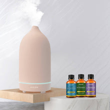 Charger l'image dans la galerie, DIFFUSEURS EN CÉRAMIQUE AMORÉ® - 100 ml