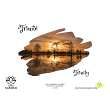 Charger l'image dans la galerie, Cubes de Cire Fondants Trinité (Trinity)