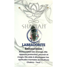 Charger l'image dans la galerie, Labradorite Double Pointe sur Chaine