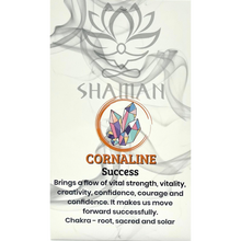 Charger l'image dans la galerie, Cornaline Forme Variée sur Chaine