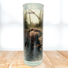 Charger l'image dans la galerie, Castor