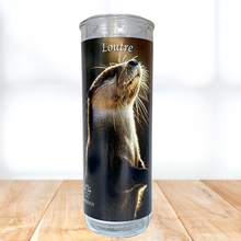 Charger l'image dans la galerie, Loutre