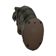 Charger l'image dans la galerie, Buste de tête de dinosaure mural en forme de tyrannosaure Rex