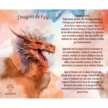 Charger l'image dans la galerie, Dragon de Feu ( pastel )