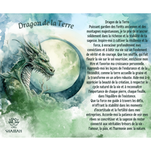 Charger l'image dans la galerie, Dragon de la Terre ( pastel )