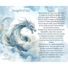 Charger l'image dans la galerie, Dragon d'Air ( pastel )