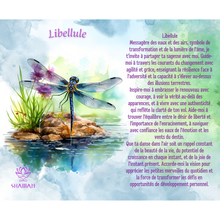 Charger l'image dans la galerie, Libellule ( pastel )