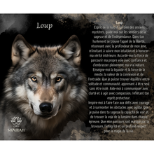 Charger l'image dans la galerie, Loup