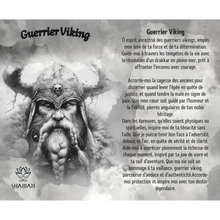 Charger l'image dans la galerie, Guerrier Viking ( pastel )