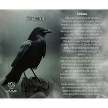 Charger l'image dans la galerie, Corbeau