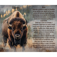 Charger l'image dans la galerie, Bison
