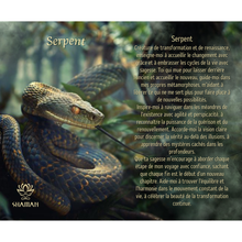 Charger l'image dans la galerie, Serpent