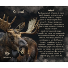 Charger l'image dans la galerie, L'Orignal