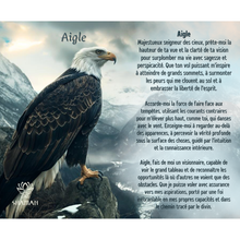 Charger l'image dans la galerie, L'Aigle