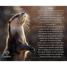 Charger l'image dans la galerie, Loutre