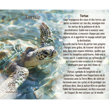 Charger l'image dans la galerie, Tortue