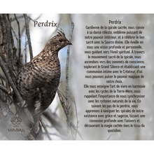 Charger l'image dans la galerie, Perdrix