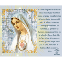 Charger l'image dans la galerie, Sainte Vierge Marie