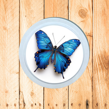 Charger l'image dans la galerie, Je Pense à Toi (boisée)