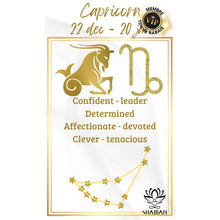 Charger l'image dans la galerie, Pendentif Capricorne Plaqué Or 18K