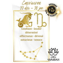 Charger l'image dans la galerie, Pendentif Capricorne Plaqué Or 18K