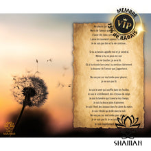 Charger l'image dans la galerie, Alléger (Deuil) Lampion Shaman