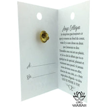 Charger l'image dans la galerie, Ange Collègue Épinglette