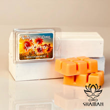 Charger l'image dans la galerie, Champs De Tournesol Cire