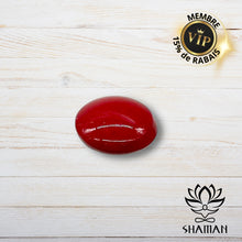 Charger l'image dans la galerie, Collier Carrion Om Collier Carrion Shaman