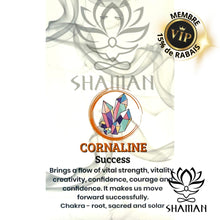 Charger l'image dans la galerie, Cornaline En Pointe De Diamant Sur Chaine Pendentifs Shaman