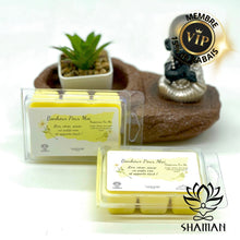 Charger l'image dans la galerie, Cubes De Cire Fondants Bonheur Pour Moi (Happiness For Me) Cube Cire Shaman