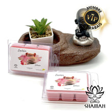 Charger l'image dans la galerie, Cubes De Cire Fondants Équilibre (Balance ) Cube Cire Shaman