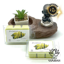 Charger l'image dans la galerie, Cubes De Cire Fondants Paix Intérieure (Inner Peace) Cube Cire Shaman