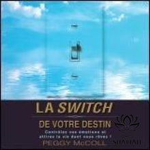 Charger l'image dans la galerie, La Switch De Votre Destin Cd