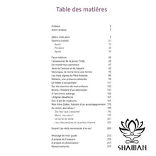 Charger l'image dans la galerie, Quand Lau-Delà Se Dessine... Les Signes De Laprès-Vie Manifestent Au Fil Dhistoires Vécues Livre