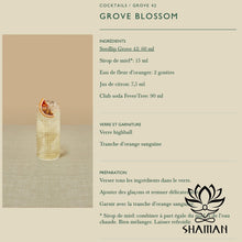 Charger l'image dans la galerie, Seedlip Grove 42