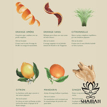 Charger l'image dans la galerie, Seedlip Grove 42