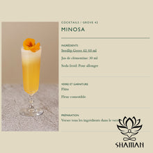 Charger l'image dans la galerie, Seedlip Grove 42