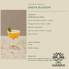 Charger l'image dans la galerie, Seedlip Grove 42