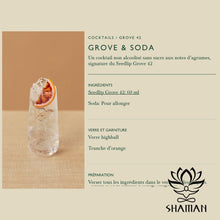 Charger l'image dans la galerie, Seedlip Grove 42