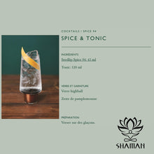 Charger l'image dans la galerie, Seedlip Spice 94